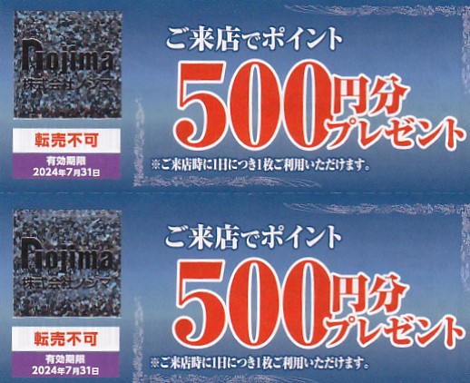 ノジマ株主優待券(来店500ポイント)(2枚綴)(2024.7.31)