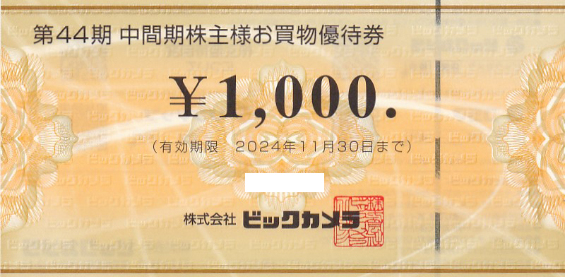 ビックカメラ株主優待券(1,000円券)(2024.11.30)