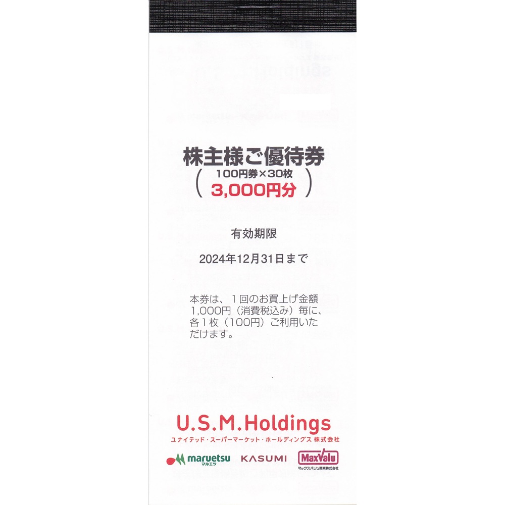 ユナイテッド・スーパーマーケット・HD株主優待券(100円割引券)(30枚綴)(冊子)(2024.12.31)