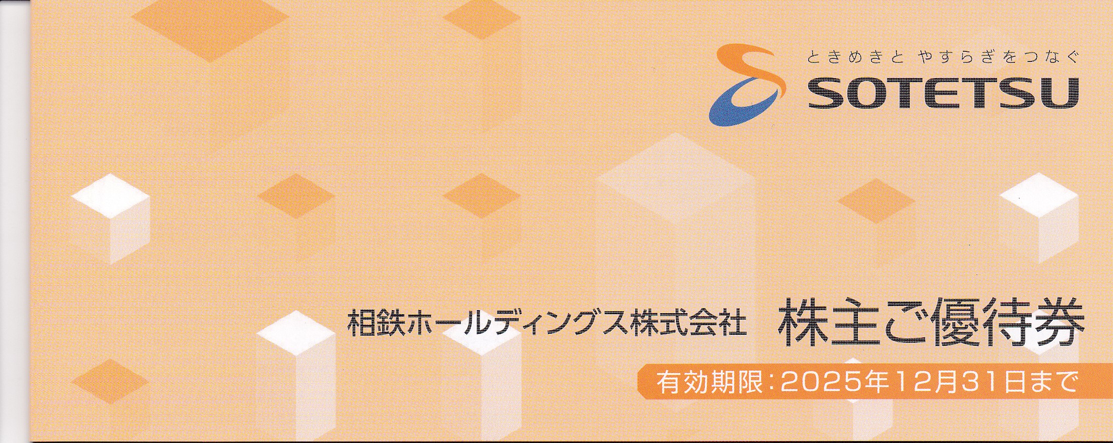 相鉄HD株主優待券(冊子)(2025.12.31)
