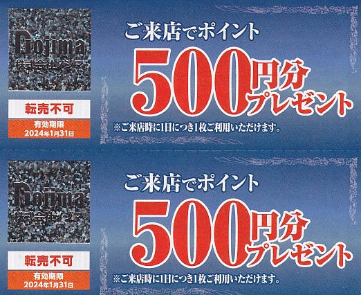 ノジマ株主優待券(来店500ポイント)(2枚綴)(2024.1.31)