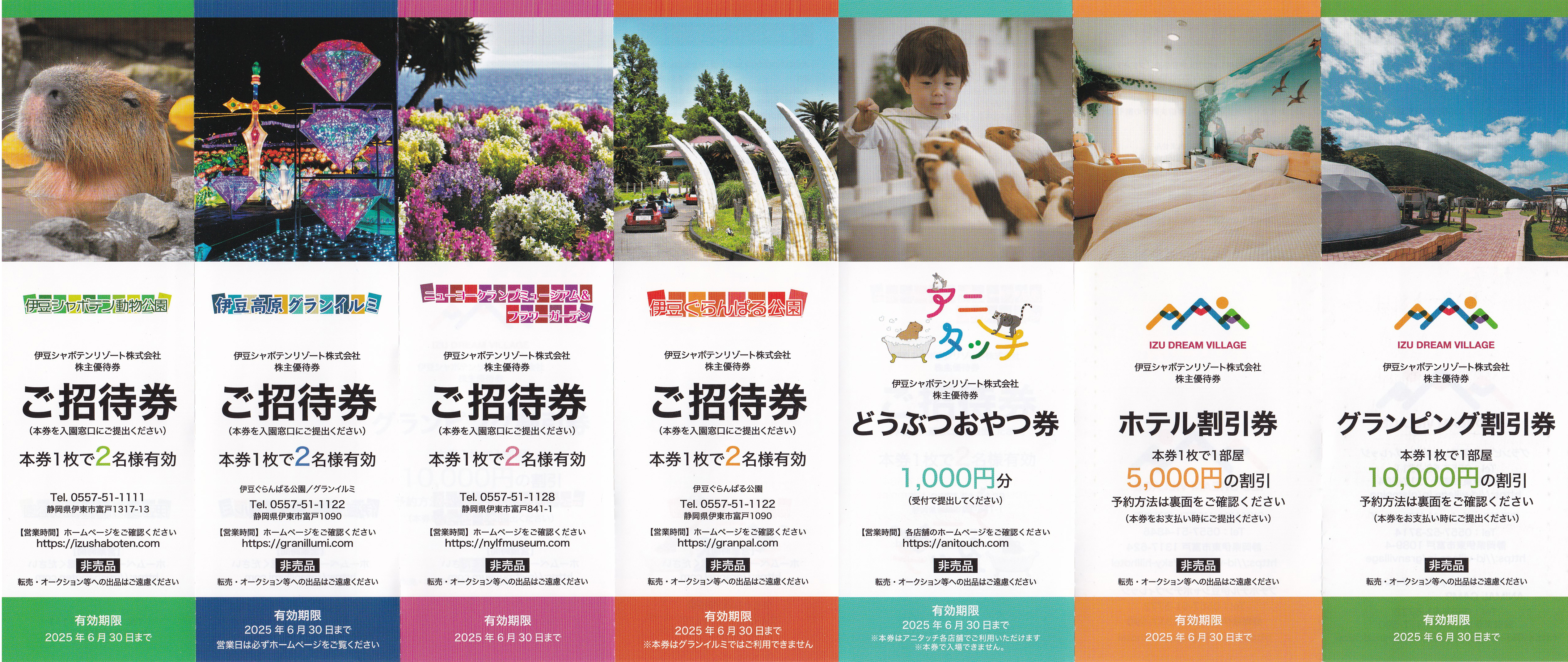 伊豆シャボテンリゾート株主優待券セット(２名)(2025.6.30)
